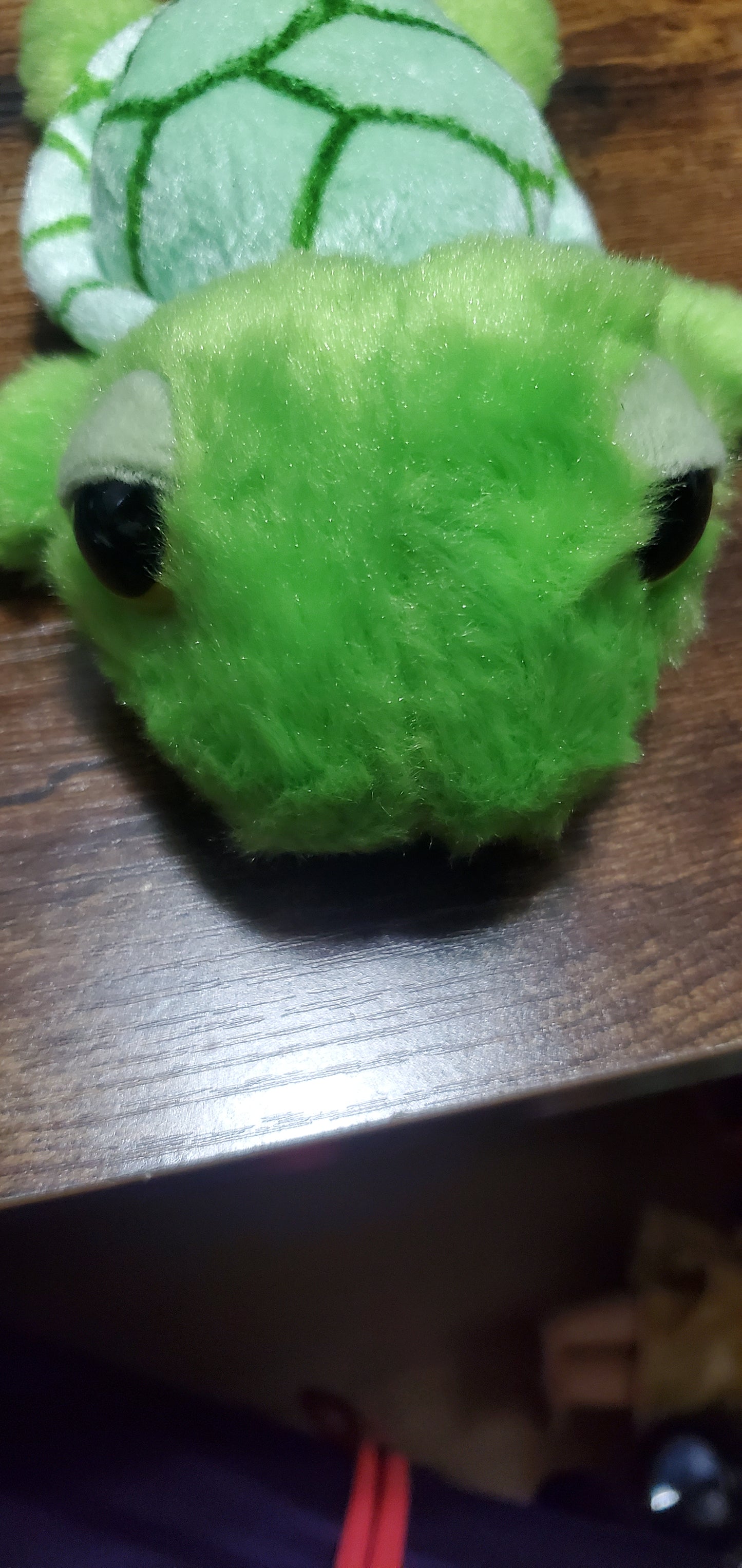 Beanie turtle toy aurona