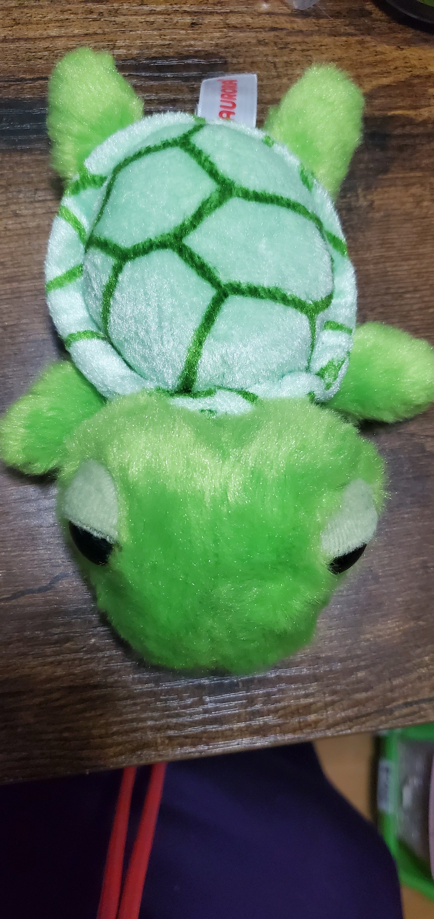 Beanie turtle toy aurona