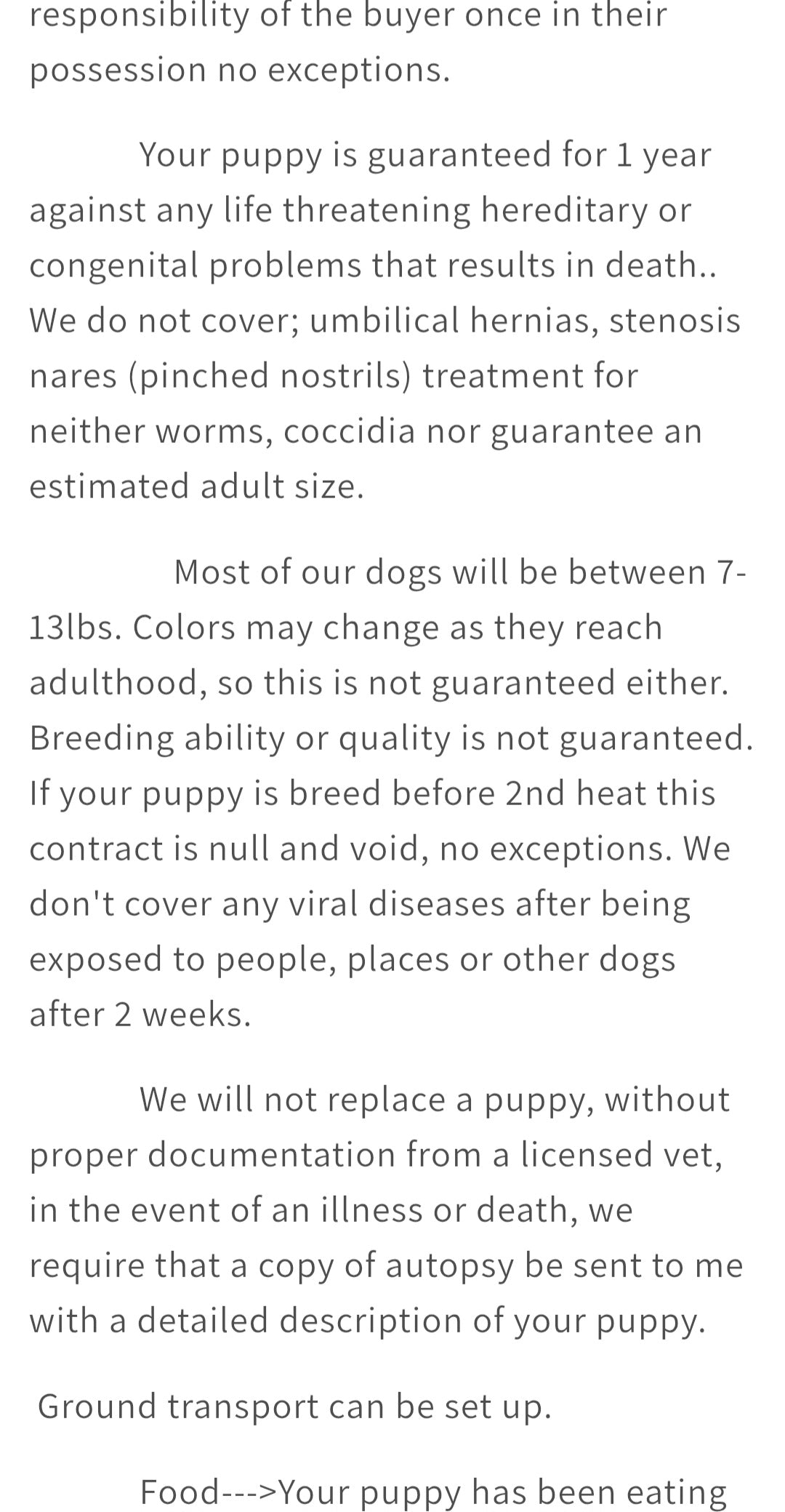 Shih tzu puppy pack spring  2025 after birth