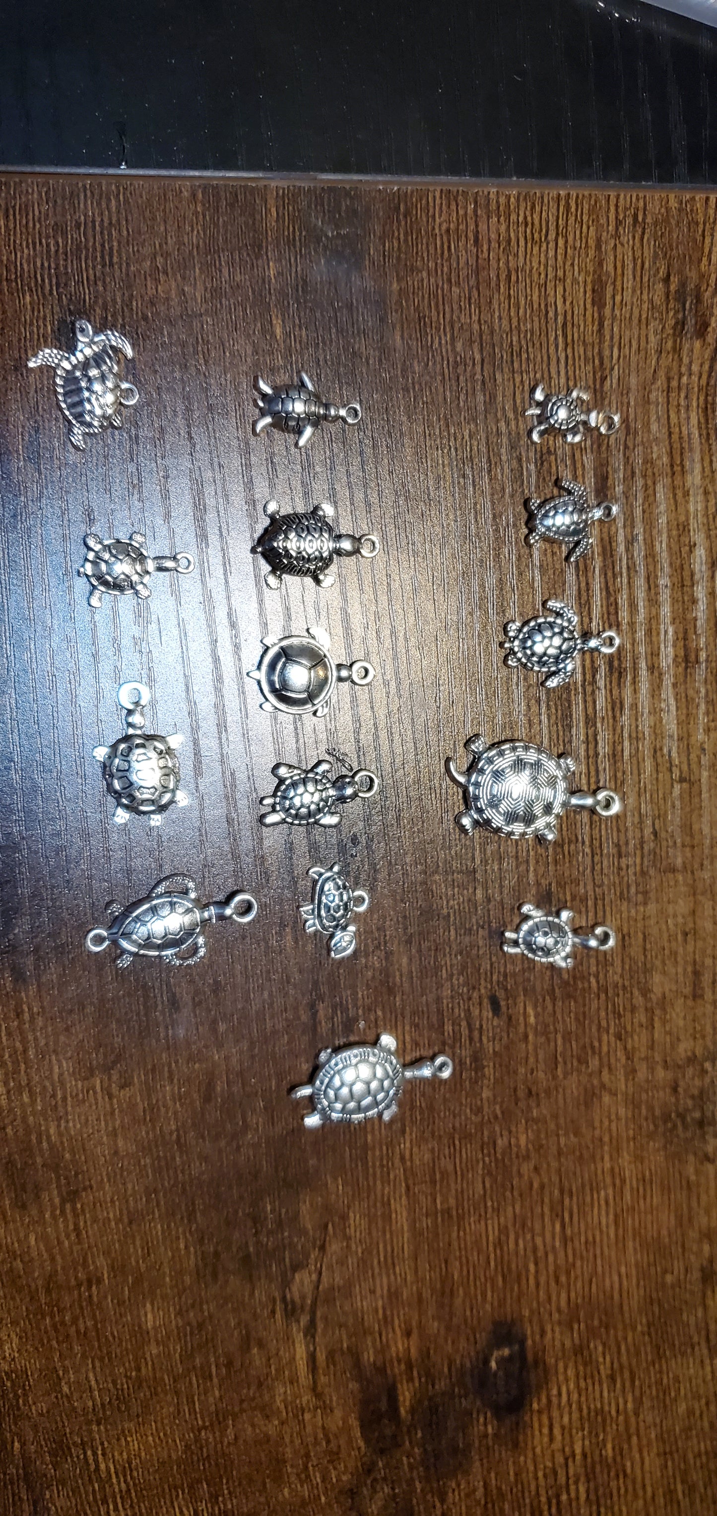 turtle Charms