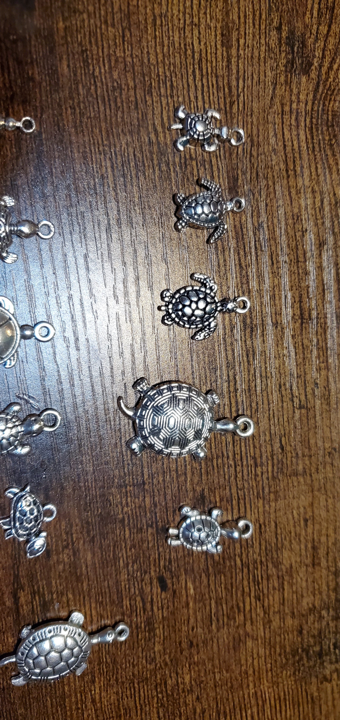 turtle Charms