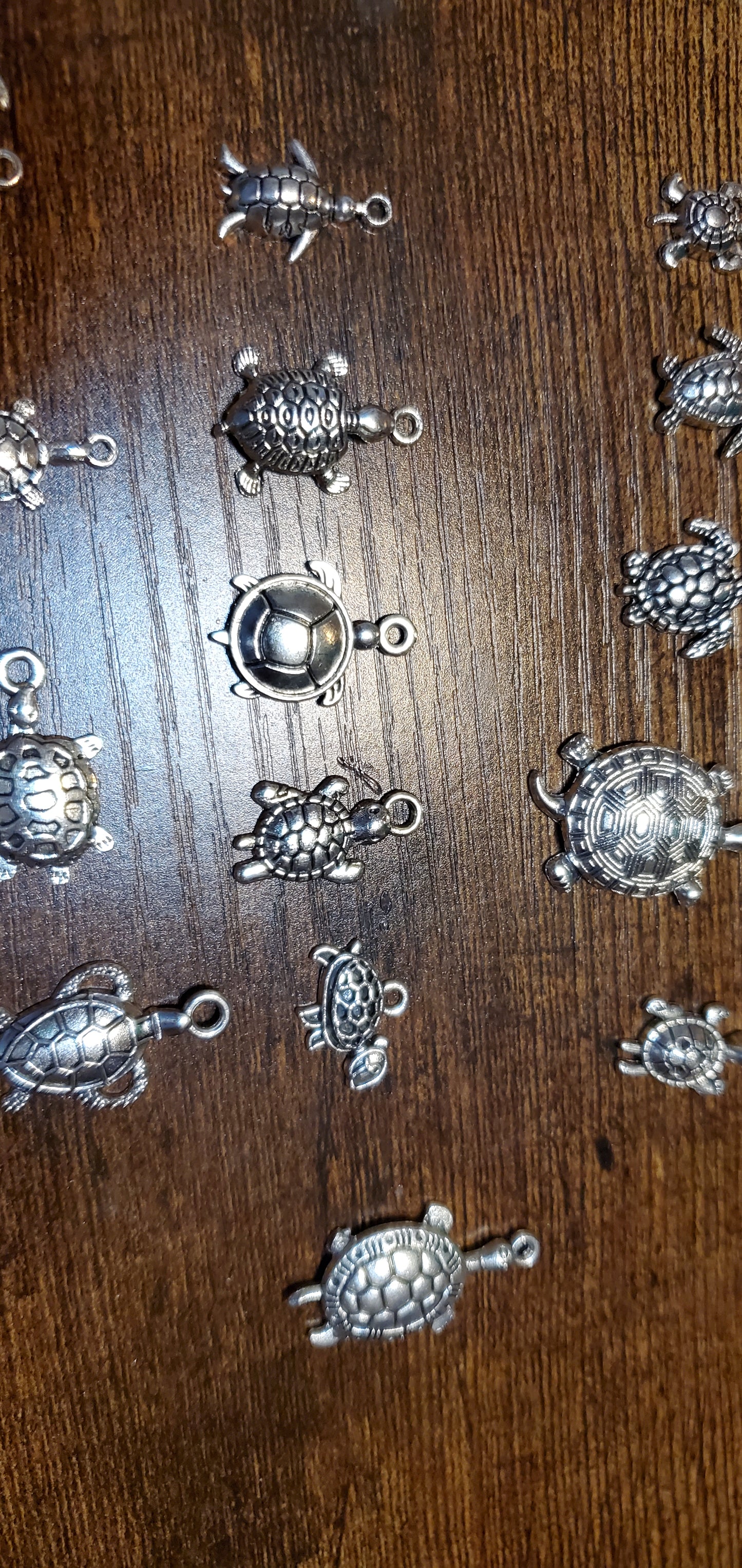 turtle Charms