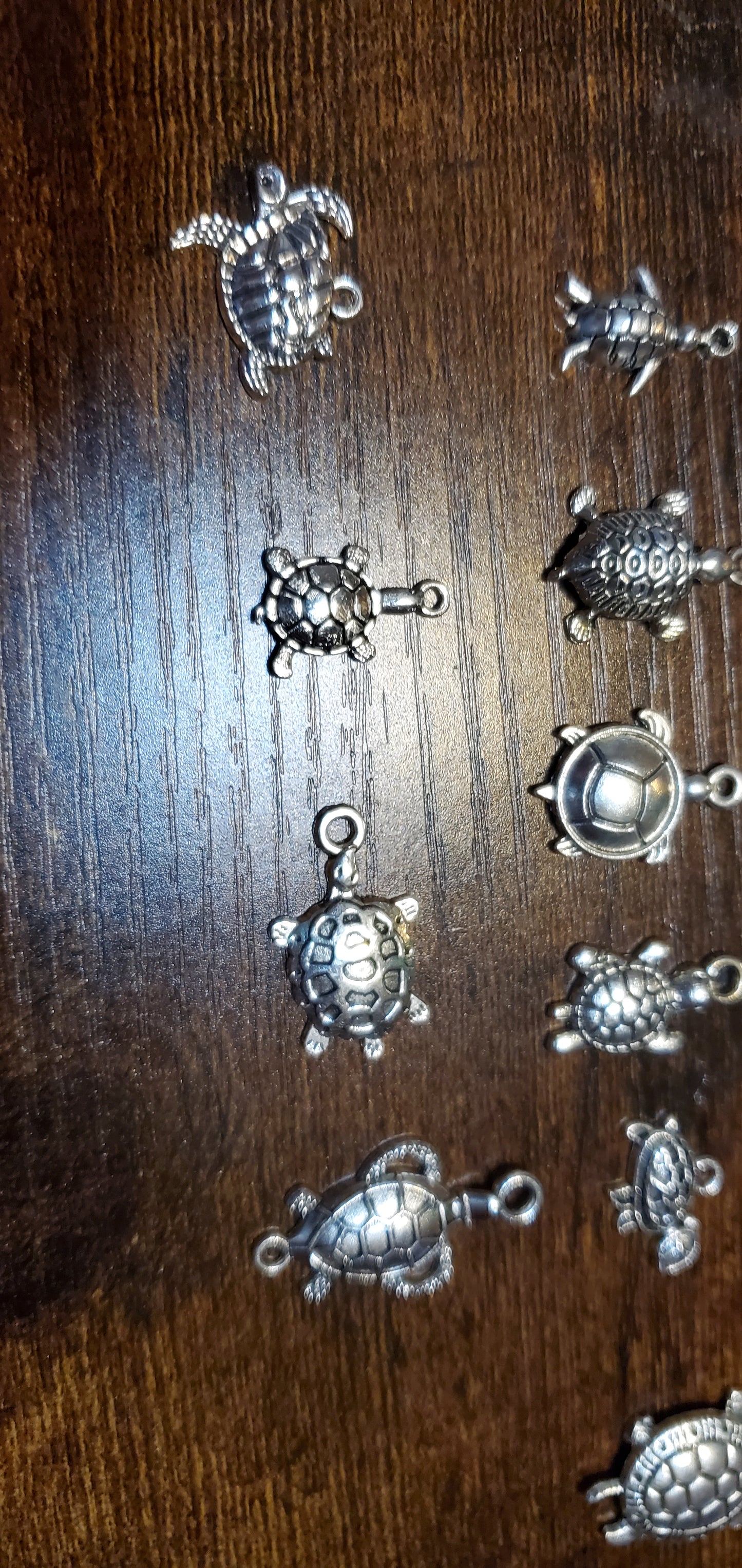 turtle Charms