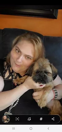 NOT FOR SALE Sire Harley Joe shih tzu champions imports from canada,ireland 10 lbs