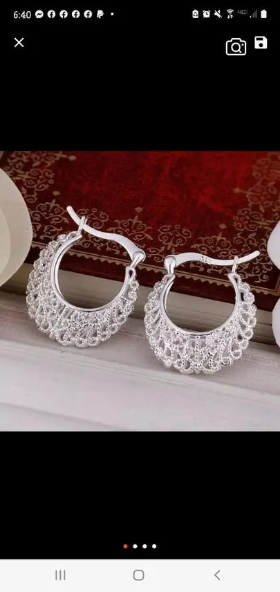 Delicate hoop lever earrings